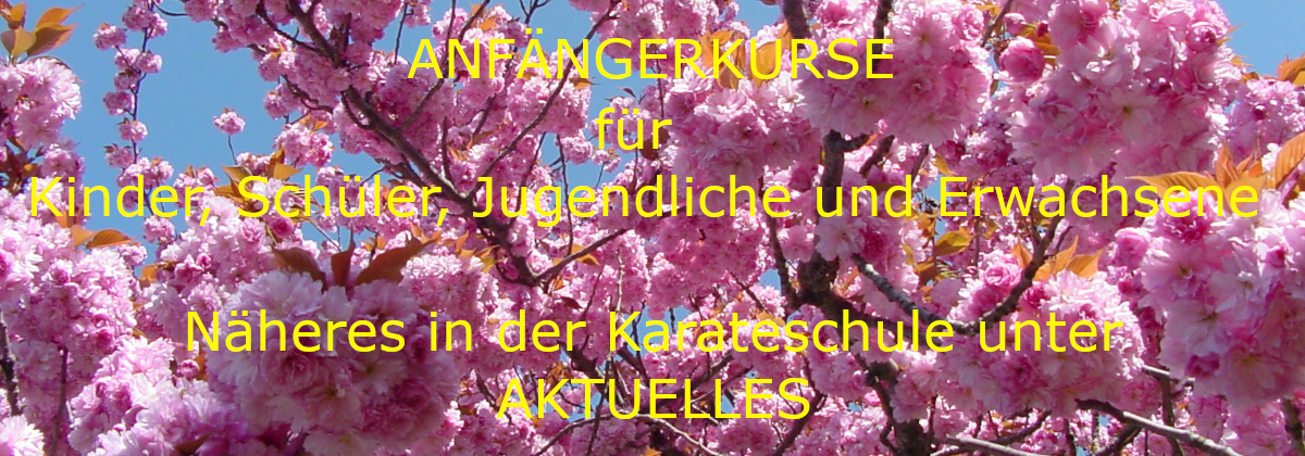Anfängerlehrgang
